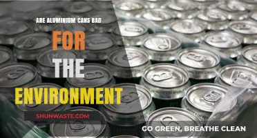 Aluminium Cans: Environmental Impact and Sustainable Alternatives Explored