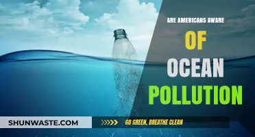 Ocean Pollution: Do Americans Care?