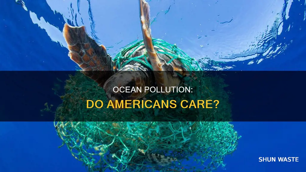 are americans aware of ocean pollution