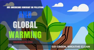 Americans' Awareness of Pollution and Global Warming