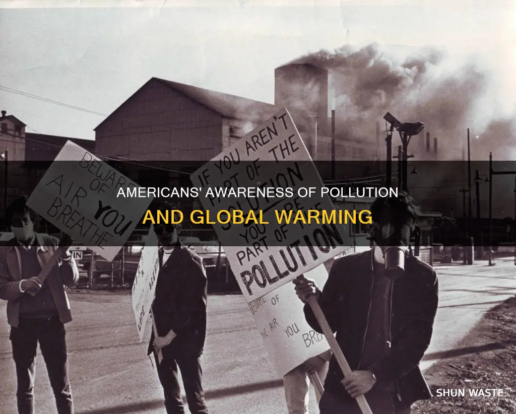 are americans ignorant on pollution and global warming