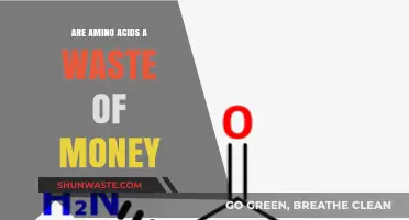 Are Amino Acid Supplements Worth the Investment? A Critical Analysis