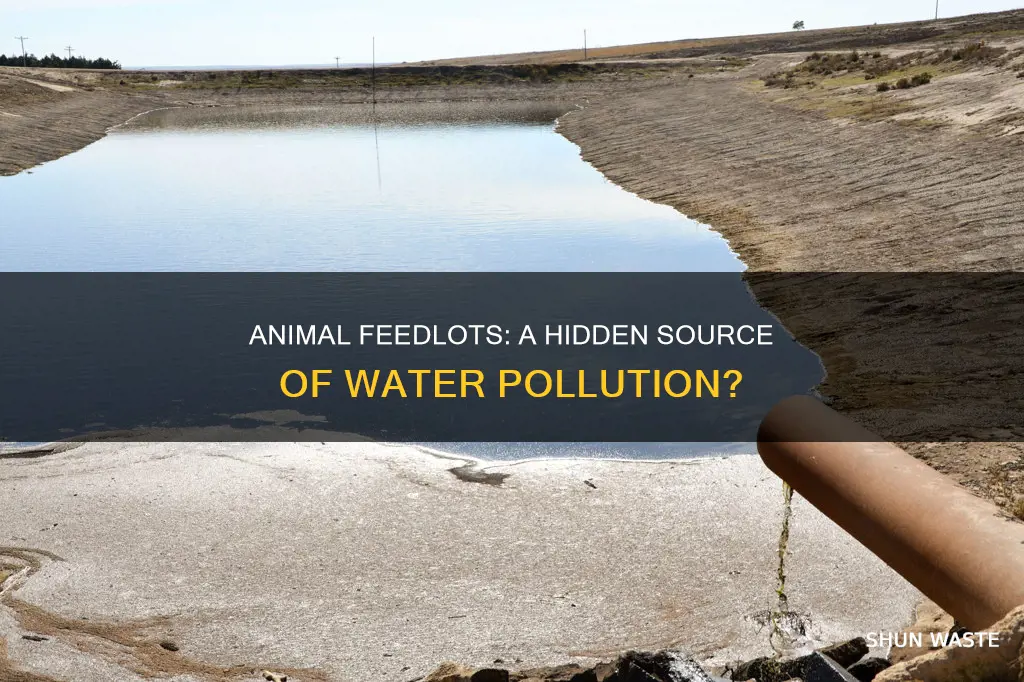 are animal feedlots a source of water pollution