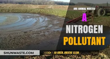 Animal Waste: Nitrogen Pollution's Unseen Threat