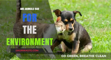 Do Animals Harm the Environment? Exploring Their Ecological Impact