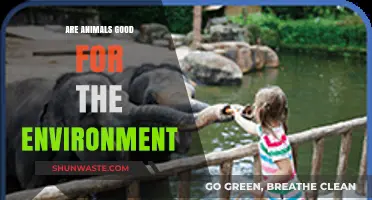 Animals' Role in Ecosystems: Environmental Benefits and Conservation Insights