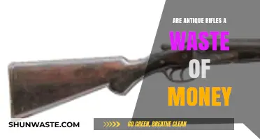 Are Antique Rifles Worth the Investment or Just Costly Relics?
