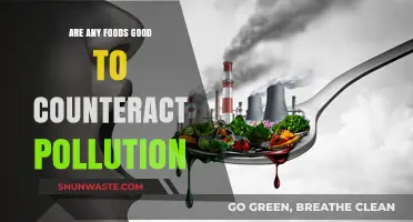 Fight Pollution with Food: What to Eat