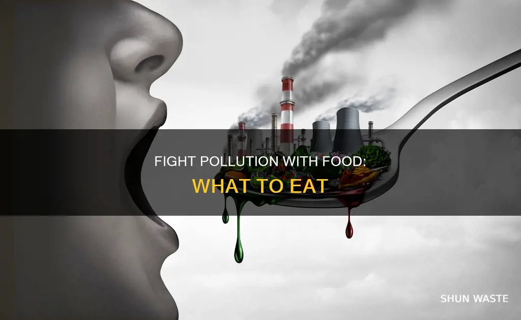 are any foods good to counteract pollution