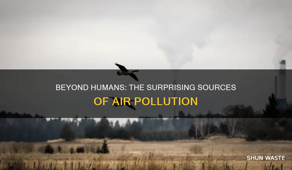 are any other species besides humans cause air pollution