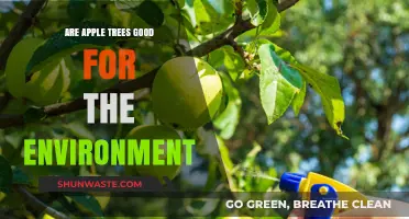 Apple Trees: Environmental Benefits and Their Role in Sustainable Ecosystems