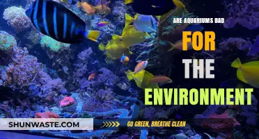 Aquariums and Ecology: Unveiling Their Environmental Impact and Sustainability