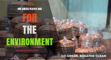 Are Areca Plates Eco-Friendly or Harmful to the Environment?