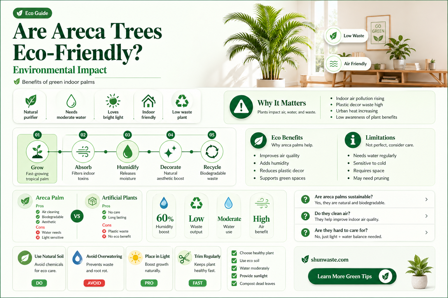 are areca trees good for he environment