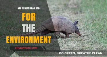 Armadillos' Environmental Impact: Friend or Foe to Ecosystems?