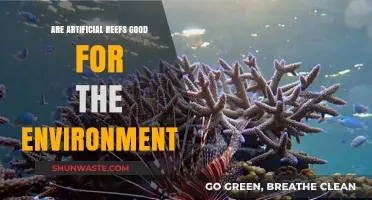 Artificial Reefs: Environmental Boon or Hidden Ecological Threat?