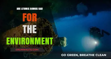 Atomic Bombs' Environmental Impact: Devastation, Long-Term Effects, and Ecological Consequences