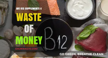 B12 Supplements: Worth the Investment or a Waste of Money?