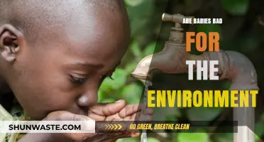 Babies and the Planet: Unpacking the Environmental Impact of Parenthood