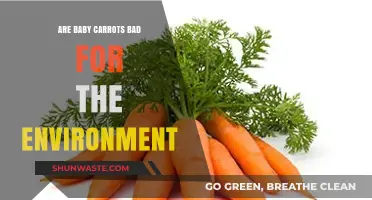 Are Baby Carrots Eco-Friendly? Uncovering Their Environmental Impact
