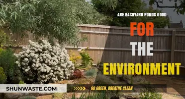 Eco-Friendly Benefits of Backyard Ponds: Enhancing Local Ecosystems