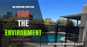 Backyard Pools: Environmental Impact and Sustainable Alternatives Explored