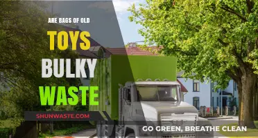 Are Bags of Old Toys Bulky Waste? Eco-Friendly Disposal Tips