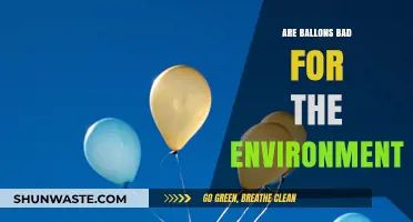 Are Balloons Eco-Friendly? Uncovering Their Environmental Impact and Alternatives