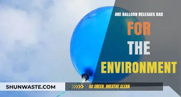 Balloon Releases: Environmental Hazard or Harmless Tradition?