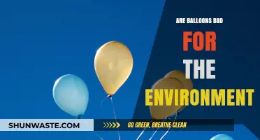 Balloons' Environmental Impact: Harmful Effects and Sustainable Alternatives Explored