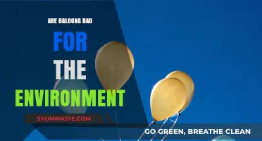 Are Balloons Harmful? Environmental Impact and Sustainable Alternatives Explained