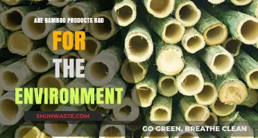 Are Bamboo Products Eco-Friendly or Harmful to the Environment?
