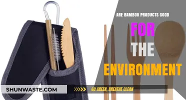 Bamboo Products: Eco-Friendly Benefits and Environmental Impact Explained