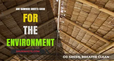 Eco-Friendly Sleep: Are Bamboo Sheets Truly Sustainable?