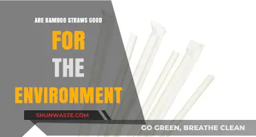 Eco-Friendly Sipping: Are Bamboo Straws a Sustainable Choice?
