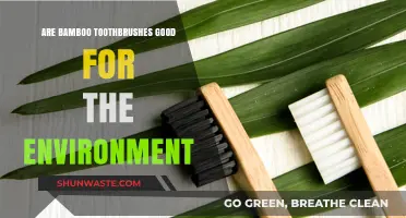 Eco-Friendly Dental Care: Are Bamboo Toothbrushes Truly Green?