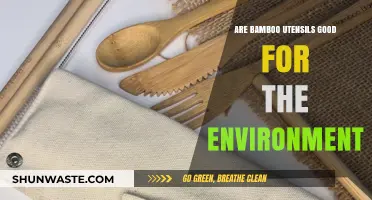 Eco-Friendly Dining: Are Bamboo Utensils Truly Sustainable?