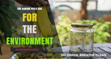 Banana Peels and the Environment: Uncovering Their Ecological Impact