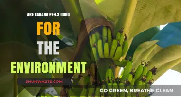 Eco-Friendly Banana Peels: Unveiling Their Surprising Environmental Benefits