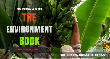 Bananas and the Environment: Unpeeling Their Eco-Friendly Impact