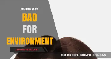 Bang Snaps: Eco-Friendly Fun or Environmental Hazard?