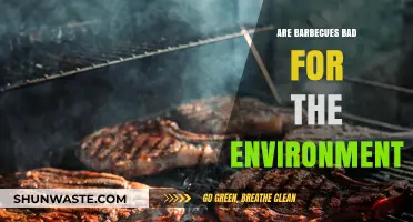 Grilling's Green Impact: Are Barbecues Harming Our Environment?