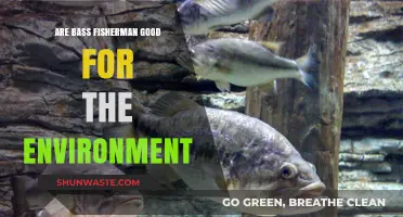 Bass Fishing: Environmental Ally or Ecosystem Disruptor?