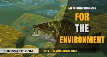 Bass Fishing: Environmental Ally or Ecosystem Disruptor?