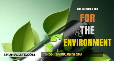 Are Batteries Eco-Friendly? Uncovering Their Environmental Impact and Sustainability
