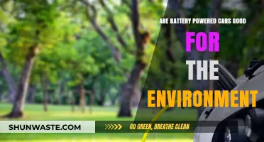 Are Electric Vehicles Truly Eco-Friendly? Uncovering the Environmental Impact