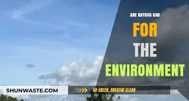 Bayous' Environmental Impact: Harmful or Beneficial for Ecosystems?
