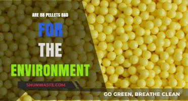 BB Pellets' Environmental Impact: Harmful or Harmless to Ecosystems?