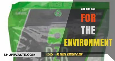 Are BBS Harmful? Environmental Impact of Airsoft BBs Explained