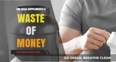 BCAA Supplements: Worth the Hype or a Waste of Money?
